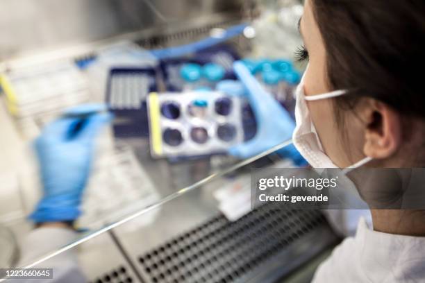 scientists at lab - stem cell stock pictures, royalty-free photos & images