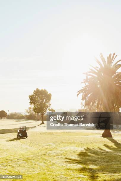 golfers driving golf cart down fairway during morning round of golf - golf day stock pictures, royalty-free photos & images