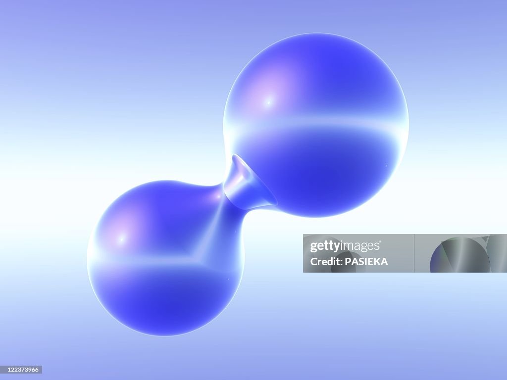 Nitrogen molecule