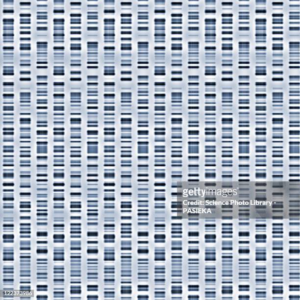 dna sequences - dna strand stock pictures, royalty-free photos & images