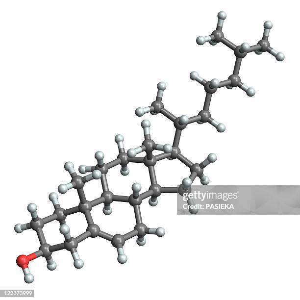 illustrazioni stock, clip art, cartoni animati e icone di tendenza di cholesterol molecule - lipide