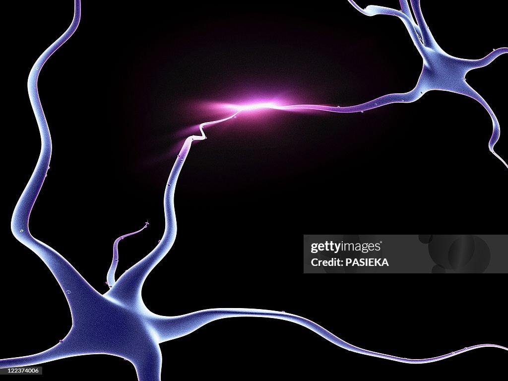 Nerve cells, neurons connected