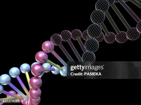 DNA molecule, computer artwork DNA molecule, computer artwork