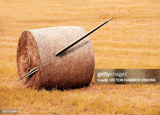 needle in a haystack, conceptual artwork - needle in a haystack 英語の慣用句点のイラスト素材／クリップアート素材／マンガ素材／アイコン素材