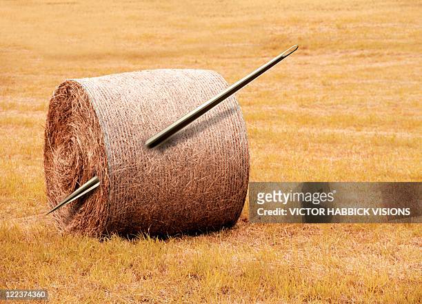 needle in a haystack, conceptual artwork - hay bale stock illustrations