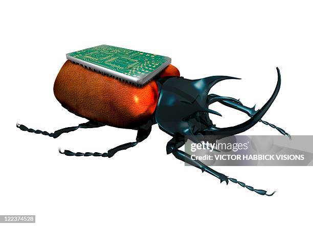 insect spy, conceptual artwork - beetle stock illustrations
