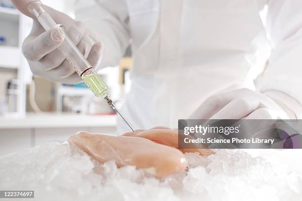Poultry Injection Poultry Injection Photos and Premium High Res Pictures - Getty Images