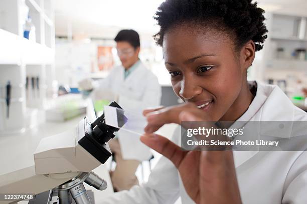 biologists - lab bench stock pictures, royalty-free photos & images