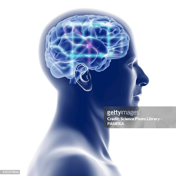 head with brain and network diagram - human head stock illustrations