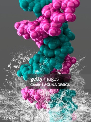 DNA molecule, artwork DNA molecule, artwork