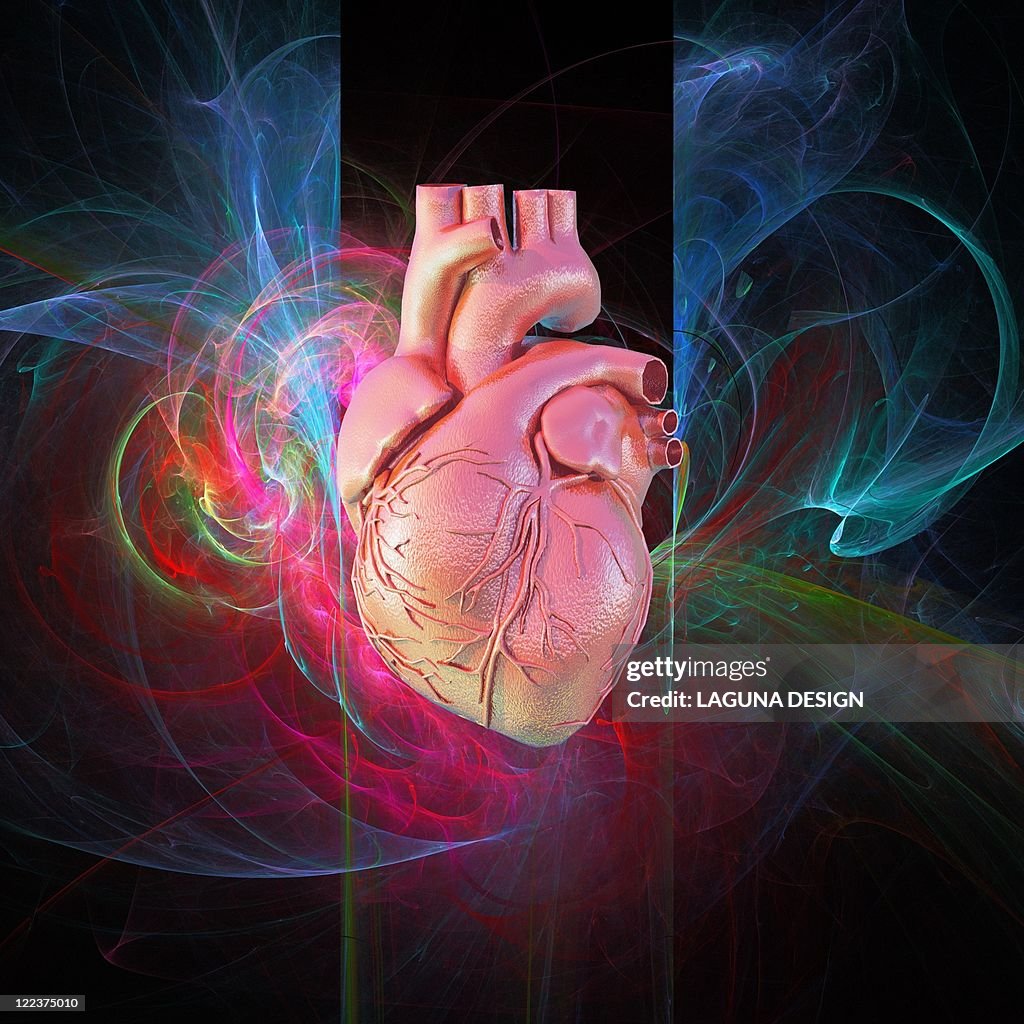 Human heart, artwork