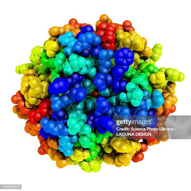 mutant insulin, molecular model - insulin molecule stock illustrations