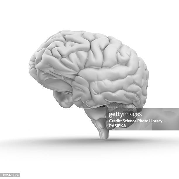 brain, artwork - outline stock illustrations