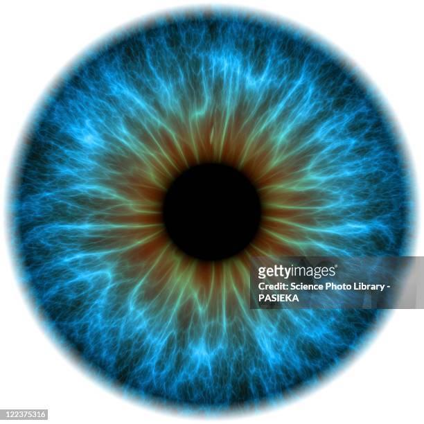 eye, iris - pupille stock-grafiken, -clipart, -cartoons und -symbole