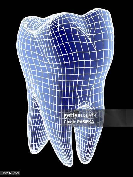 Thoot Roots Tooth Roots Photos and Premium High Res Pictures - Getty Images