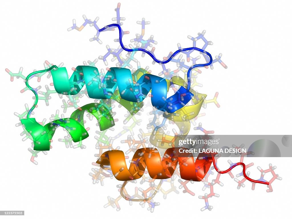 Rous sarcoma virus capsid protein
