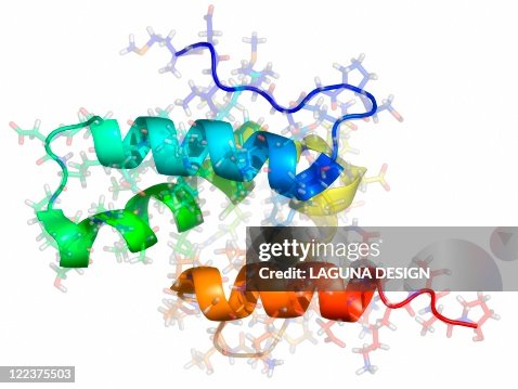 Rous sarcoma virus capsid protein Rous sarcoma virus capsid protein