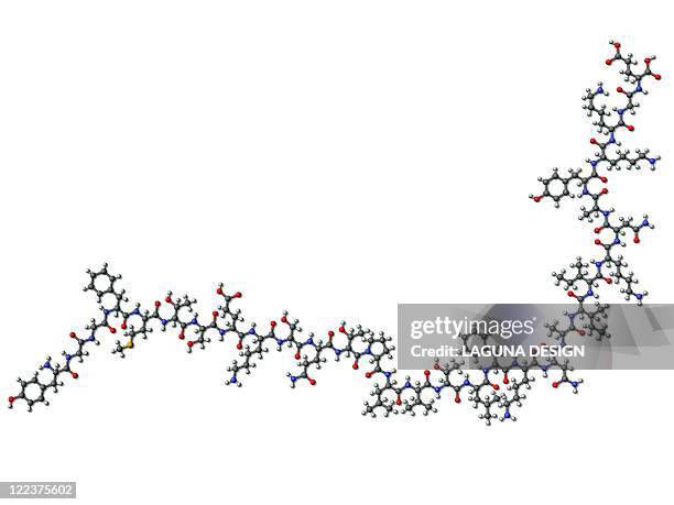 beta-endorphin molecule - synapse stock illustrations