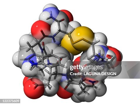 Cone snail venom component molecule Cone snail venom component molecule