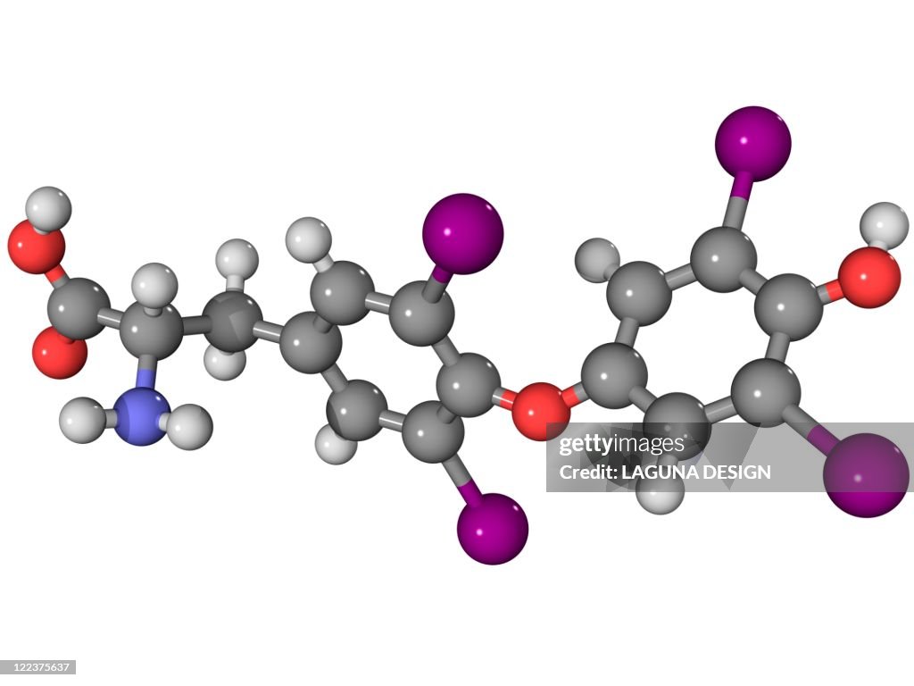 Synthetic thyroid hormone molecule