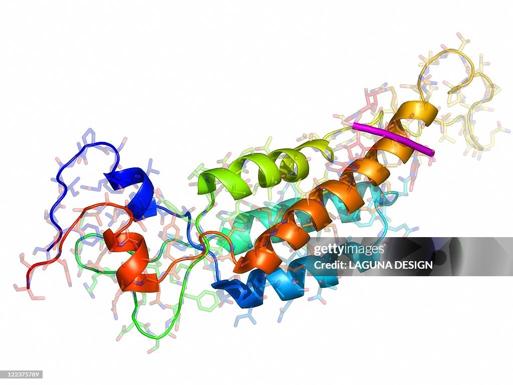 Tobacco mosaic virus capsid protein