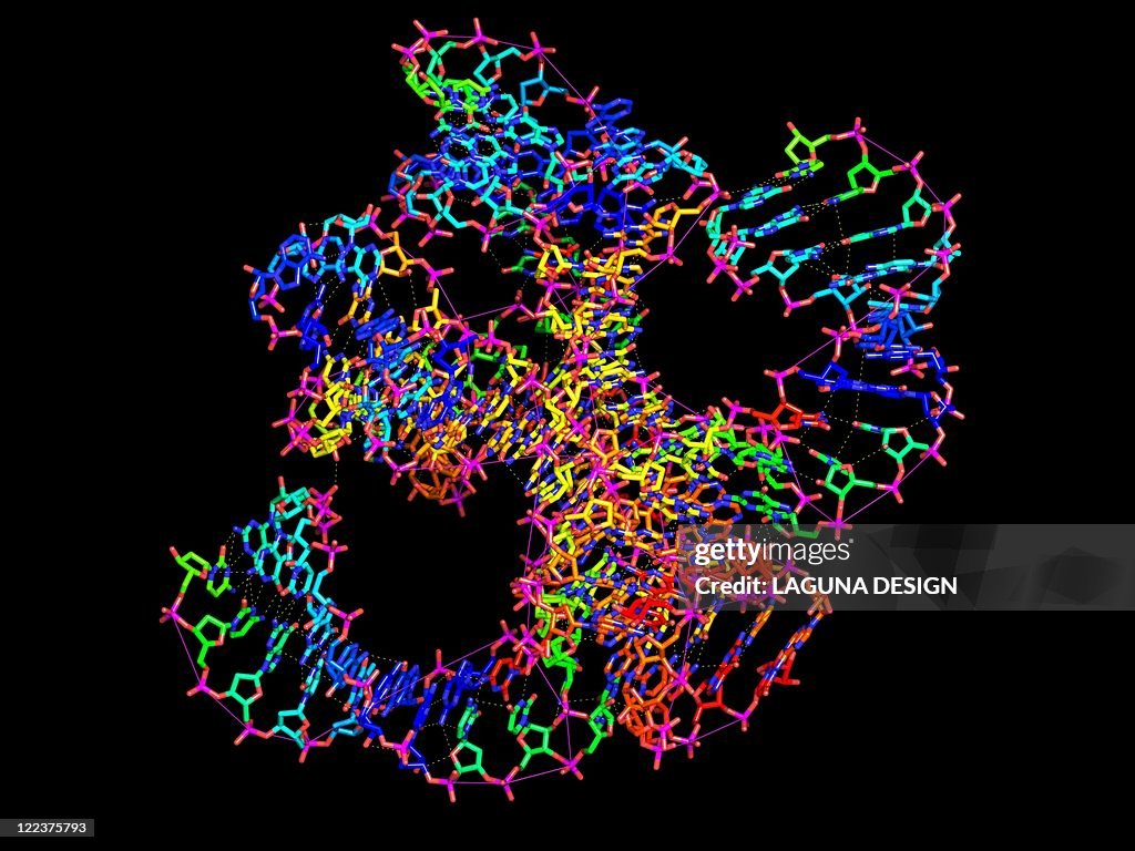 Hammerhead ribozyme molecule