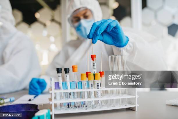 two male doctors in protective suits sort and analyze swabs on corona virus - cotton swab stock pictures, royalty-free photos & images