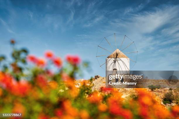 paros island cyclades islands traditional greek windmill grèce - paros photos et images de collection
