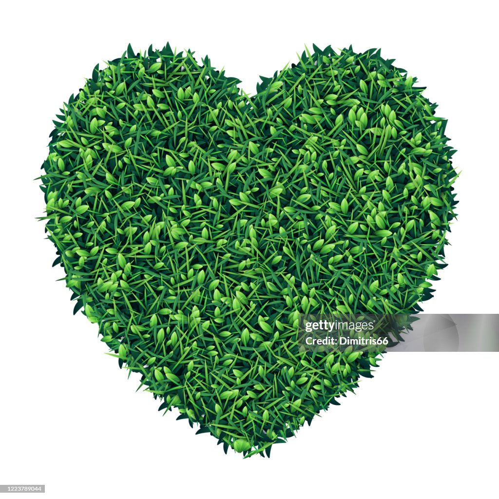 Het vormstuk van het hart van groen gras