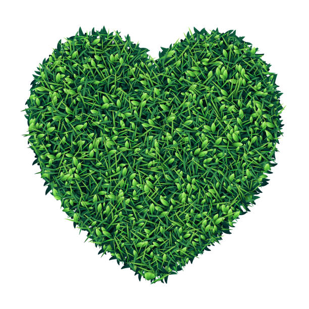 heart shape piece of green grass - spring background top view stock illustrations