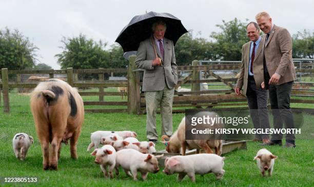 Britain's Prince Charles, Prince of Wales reacts as he views Gloucestershire Old Spot piglets during his visit to Cotswold Farm Park near Cheltenham,...