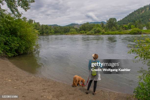 Woman with miniature Goldendoodle at the Wenatchee River in the Waterfront Park in Leavenworth, Eastern Washington State, USA.