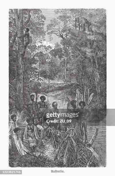 australische aborigines in einem eukalyptuswald, holzstich, veröffentlicht 1893 - native river stock-grafiken, -clipart, -cartoons und -symbole