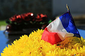 French flag on chrysanthemums. Coulommes. Seine et Marne. France. Europe.