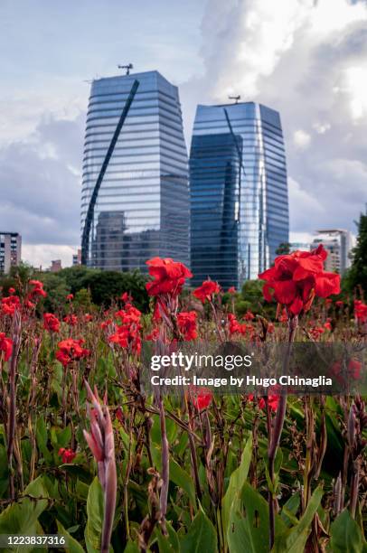 edifício comercial em são paulo - edifício comercial stock pictures, royalty-free photos & images