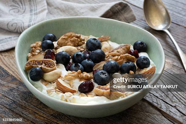 muesli bowl with blueberries and nuts - tigela imagens e fotografias de stock