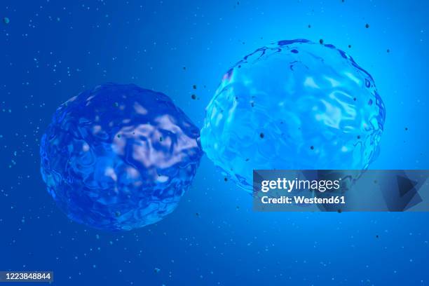 three dimensional render of stem cell mitosis - mitosis 幅插畫檔、美工圖案、卡通及圖標