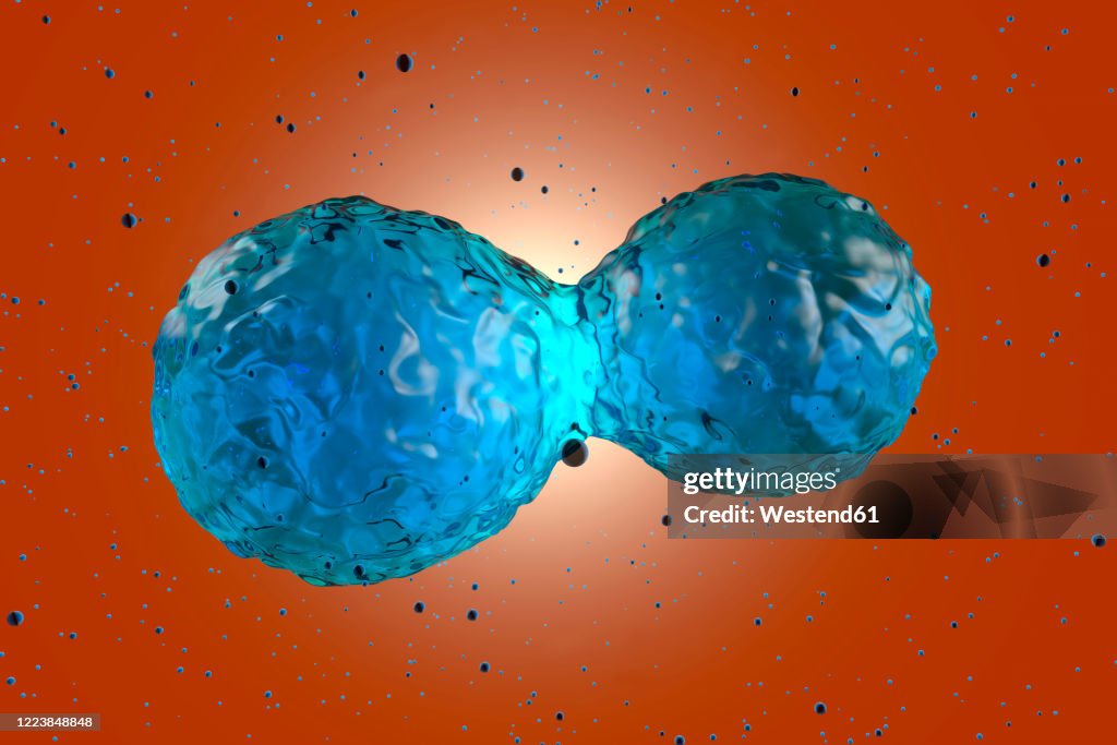 Three Dimensional Render Of Stem Cell Mitosis High Biology Diagrams