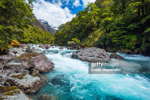 new zealand, southland, te anau, long exposure of hollyford riverrushing infiordlandnational park - te anau stock pictures, royalty-free photos & images
