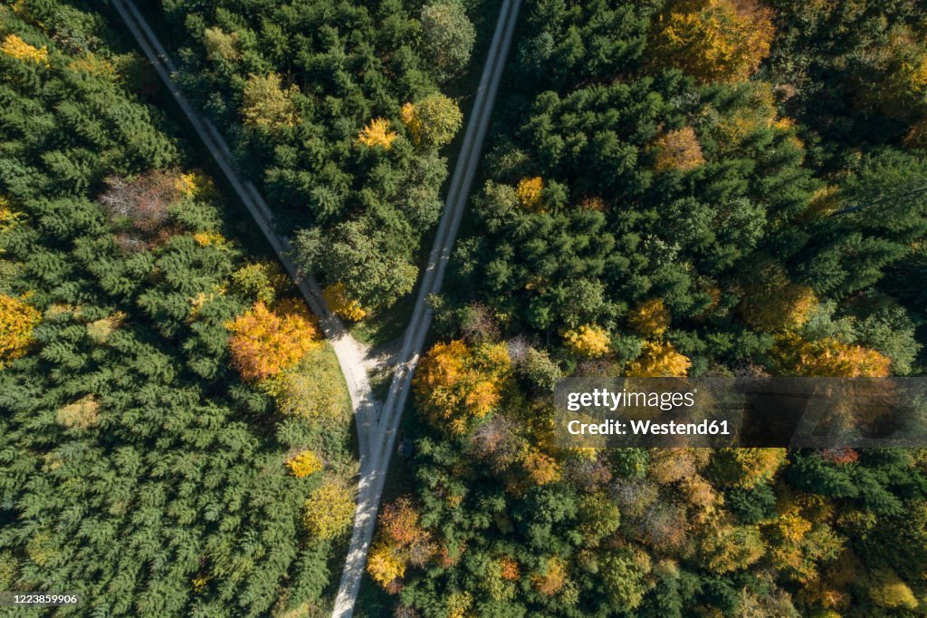 Germany, Baden-Wurttemberg, Heidenheim an der Brenz, Drone view of forked road in autumn forest