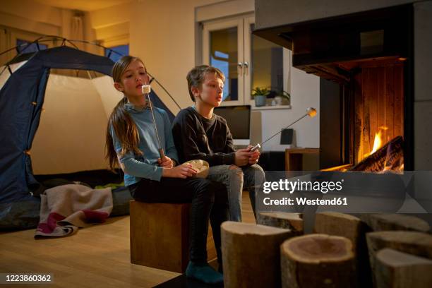 brother and sister barbecueing and camping in the living room - camping indoors stock pictures, royalty-free photos & images