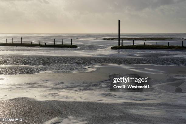 germany, schleswig-holstein, sankt peter-ording, coastal beach of wadden sea national park at dusk - wattenmeer national park stock pictures, royalty-free photos & images