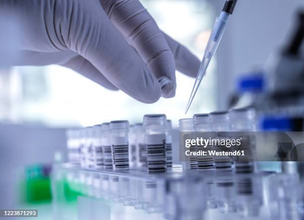 Handling Lab Sample 82 Specimen Handling Stock Photos, High-Res Pictures, and Images ...