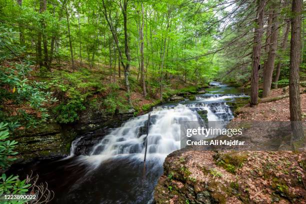 pennell falls in bushkill falls area - pennsylvania forest stock pictures, royalty-free photos & images