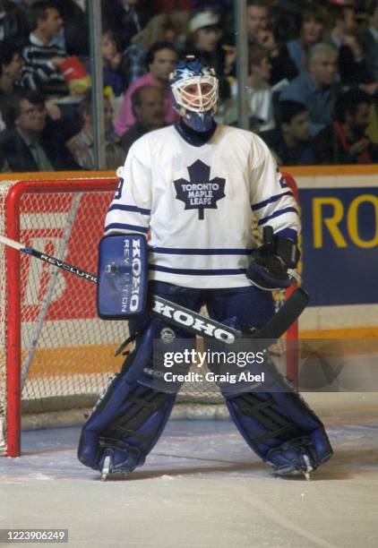 Felix Potvin of the Toronto Maple Leafs skates against the New York Rangers during NHL game action on December 4, 1993 at Maple Leaf Gardens in...