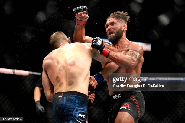 Calvin Kattar of the United States knocks down Jeremy Stephens of the United States with an elbow to the face in their Featherweight fight during UFC...