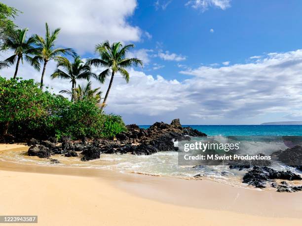 91 Makena Cove Stock Photos High Res Pictures And Images Getty Images 91-makena-cove-stock-photos-high-res-pictures-and-images-getty-images