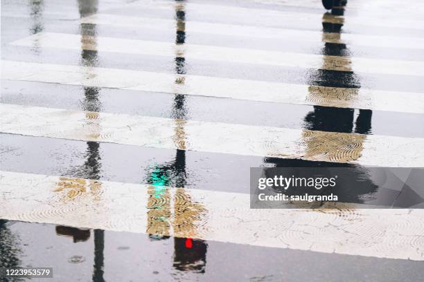 shadows on a zebra crossing on a rainy day - rote ampel stock-fotos und bilder