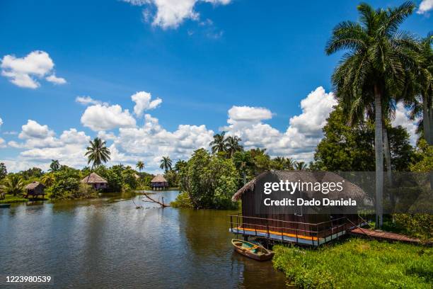 small village playa larga - varadero beach stock pictures, royalty-free photos & images