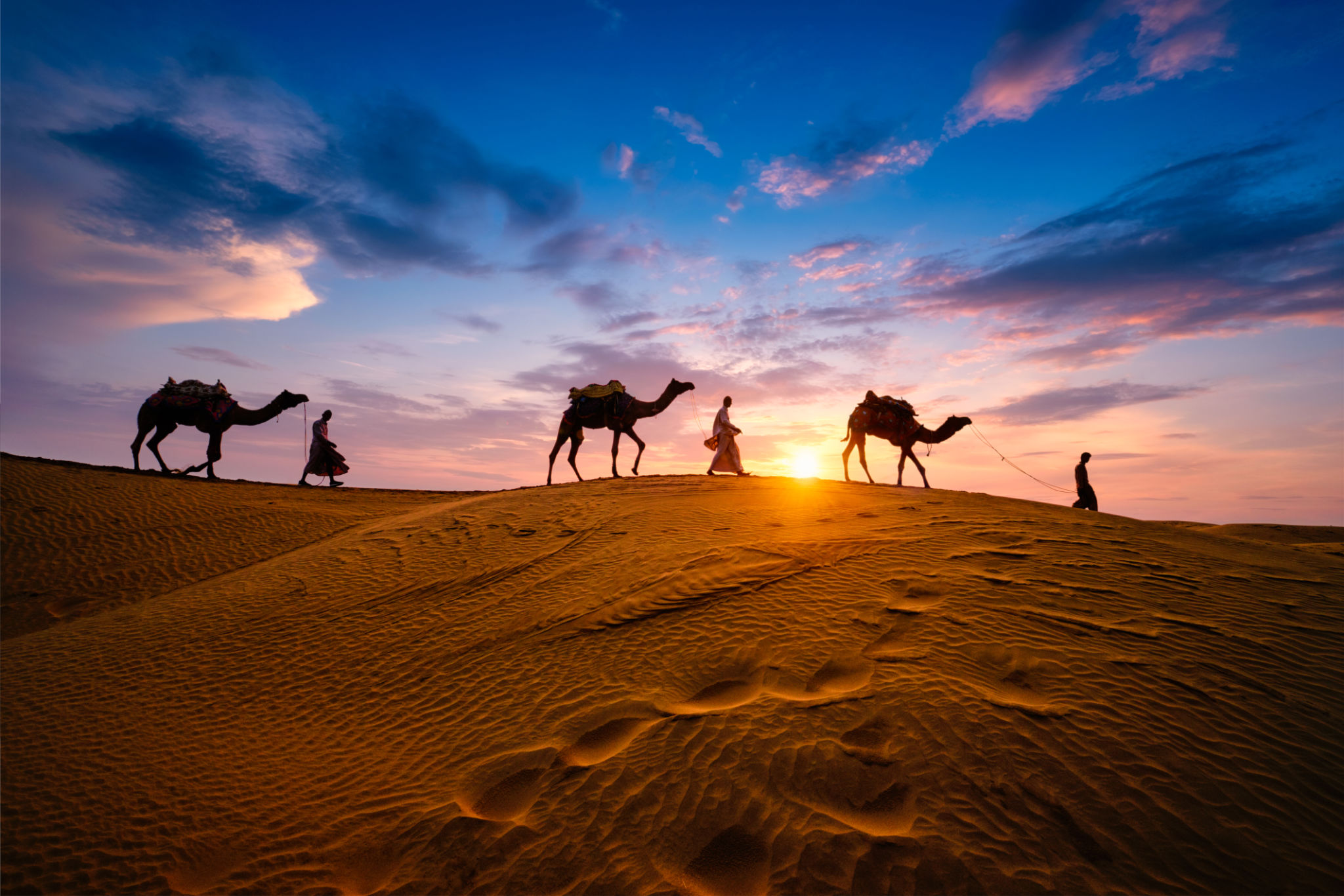 desert adventure